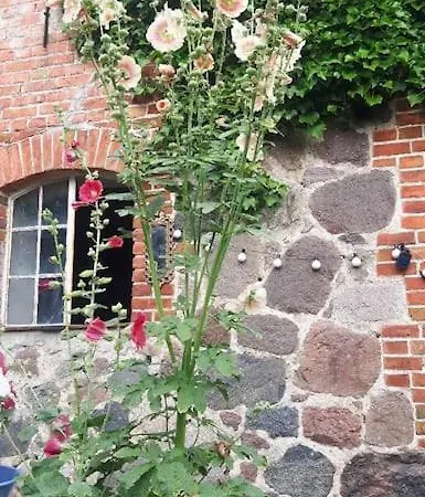 Grosse In Flecken Zechlin Apartment