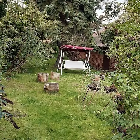 Grosse In Flecken Zechlin *