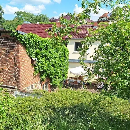 Grosse In Flecken Zechlin