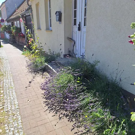 Grosse In Flecken Zechlin Appartement *