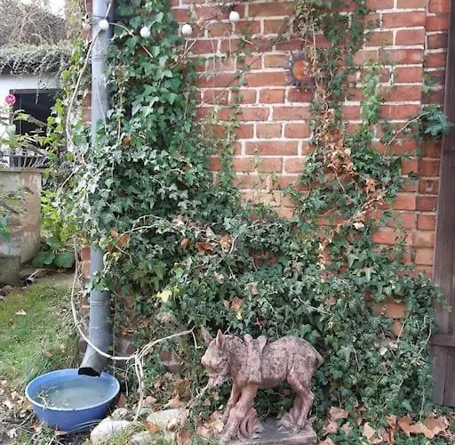 Grosse In Flecken Zechlin