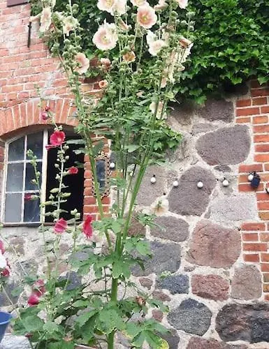 Grosse In Flecken Zechlin شقة