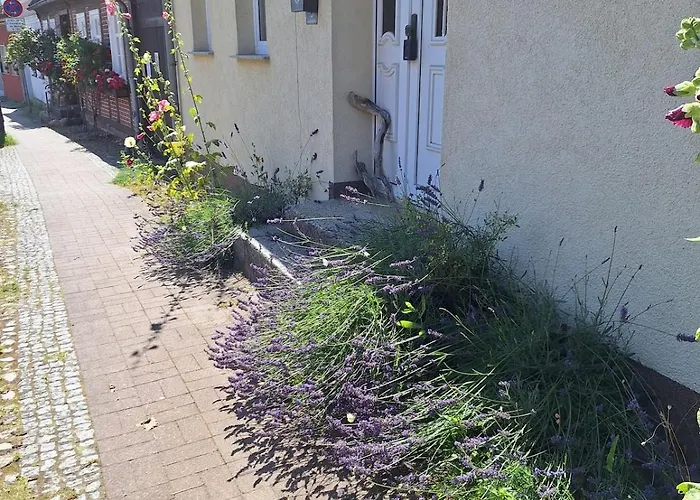 Grosse In Flecken Zechlin شقة *